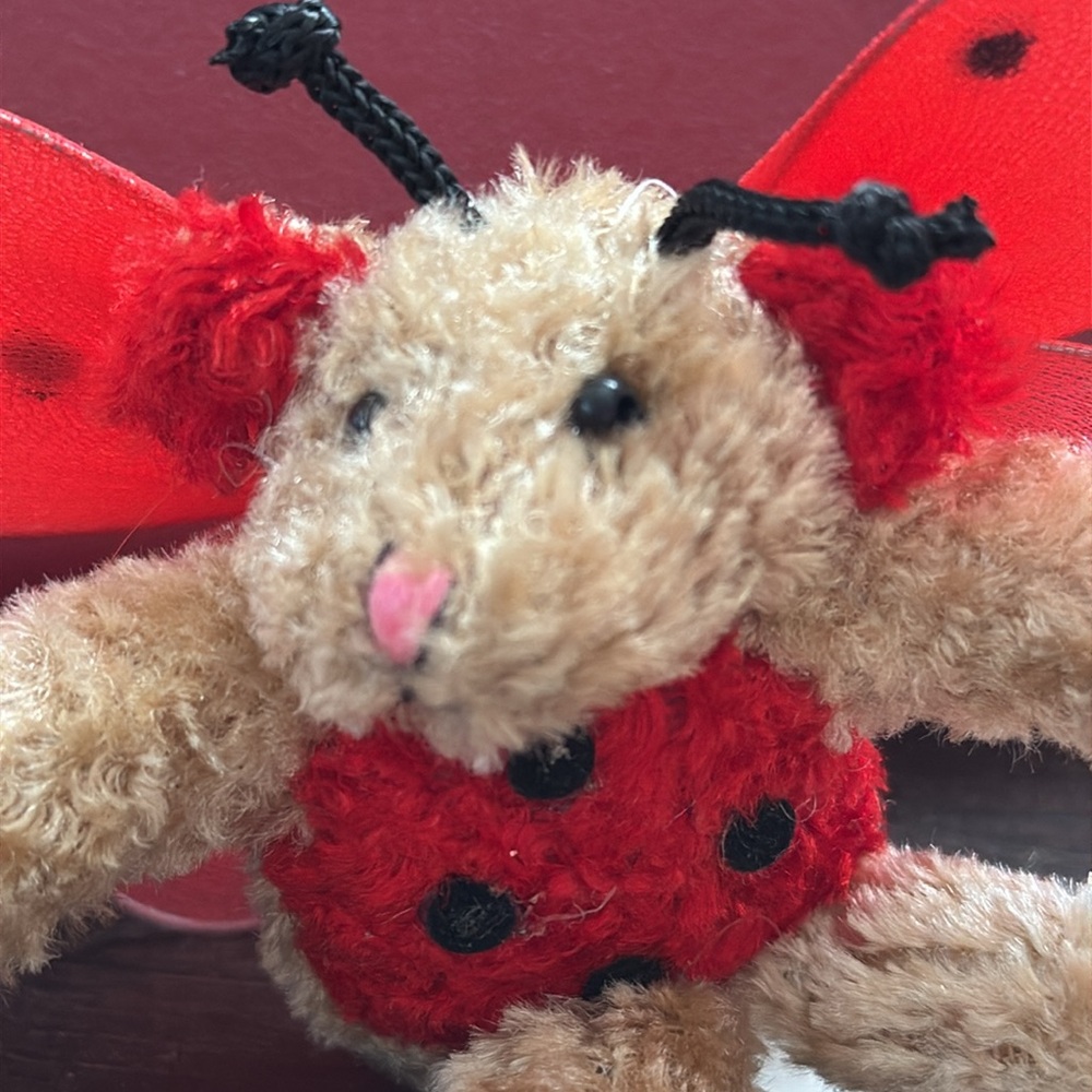Lady bug teddy bear - Picture 2 of 3